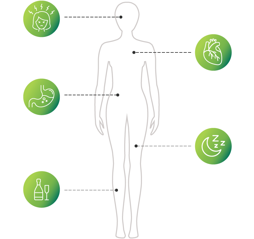 Fast acting nervous system complex, amino acids, plants extracts, vitamin B complex, stress free, serotonin, anxiety, sadness, strong nerves