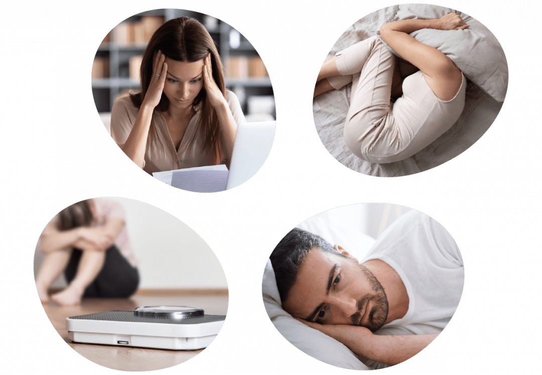 Fast acting nervous system complex, amino acids, plants extracts, vitamin B complex, stress free, serotonin, anxiety, sadness, strong nerves